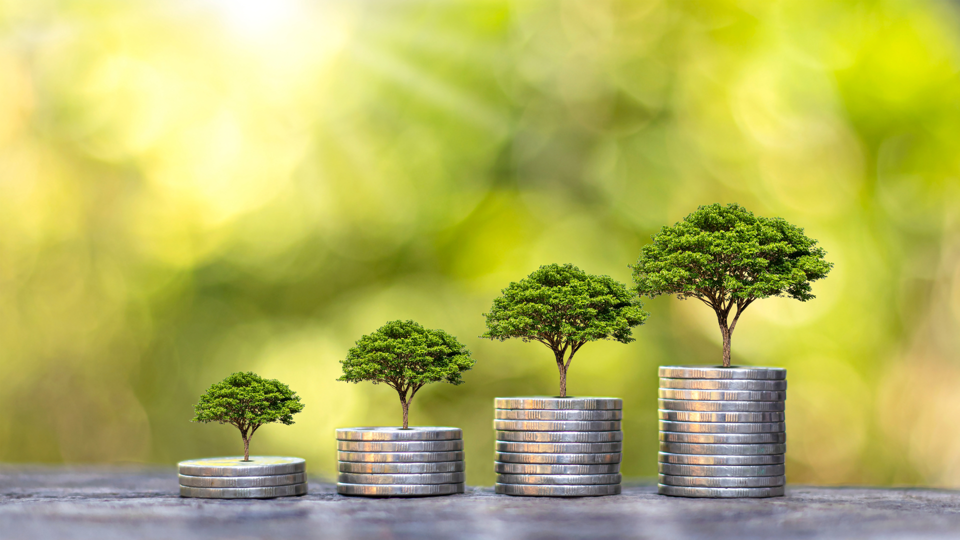 Design sans titre(1)